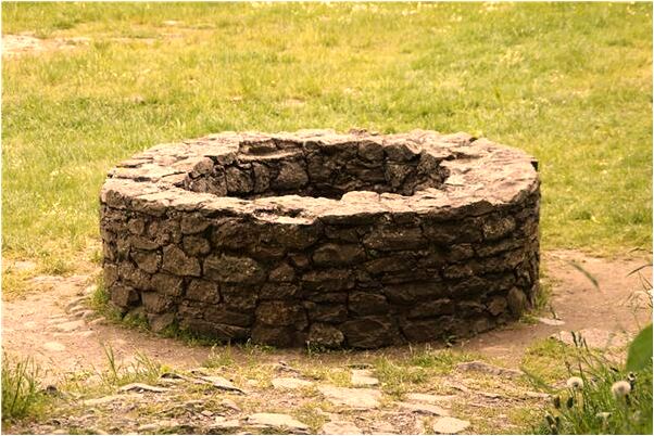 夢到了和朋友騎車撞樹有什麼意思嗎_周公解夢官網