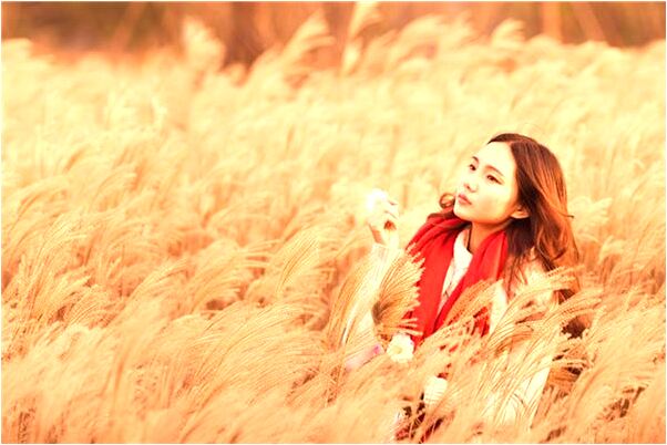 夢到了自己飛起來了的預兆_周公解夢官網