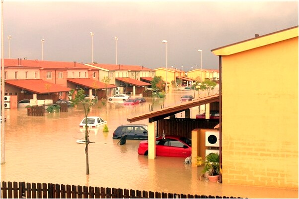 夢到蒼蠅嗡嗡叫飛有什麼意義嗎_周公解夢官網