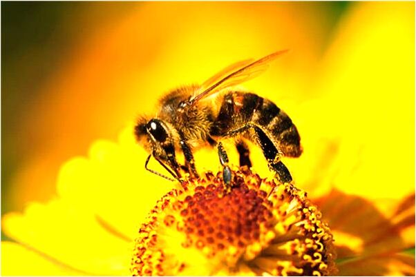 夢見我會破壞她的感情她要離開代表著什麼？_周公解夢官網