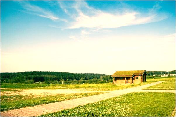 夢到熊與我為伴有什麼寓意嗎_周公解夢官網