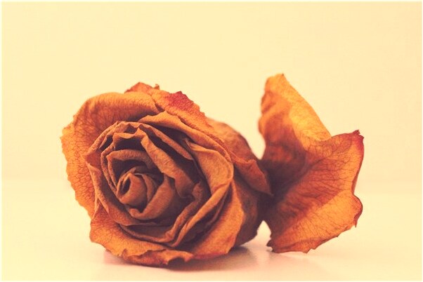 夢到骨灰落在身上意味著什麼_周公解夢官網