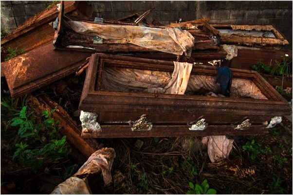 夢到了小樹上長很多橘子是好是壞_周公解夢官網