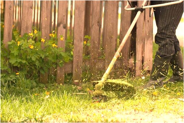 夢到了搬運凍蝦是什麼徵兆_周公解夢官網