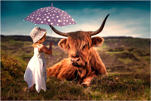 夢到有人臉被劃是凶兆還是吉兆_周公解夢官網