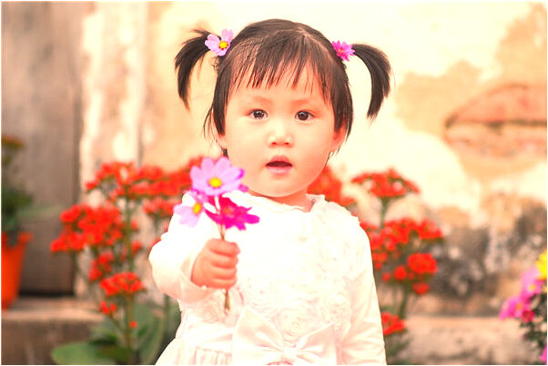 夢見白菜葉子上有蜘蛛結網是什麼預兆_周公解夢官網