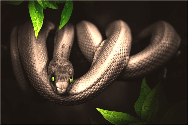 夢到我抱著一個男人意味什麼_周公解夢官網