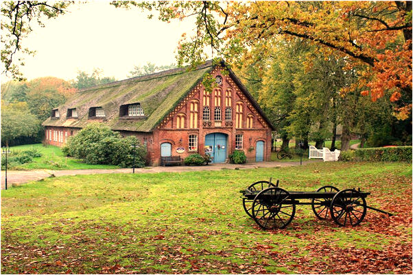 夢到了冬天和父親收割土豆有何寓意_周公解夢官網