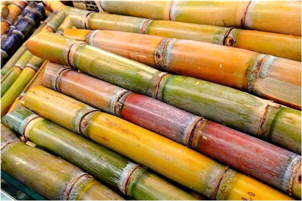 夢到開汽車有什麼說法_周公解夢官網