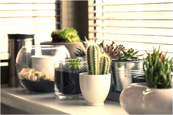 夢到老同學成了我的下屬是什麼徵兆_周公解夢官網