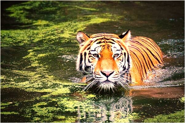 夢到了夢別人求助於我是什麼意思_周公解夢官網