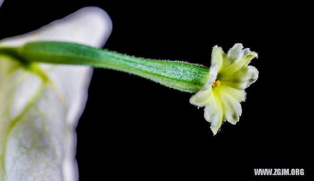 夢見男朋友當我面出軌_周公解夢夢到男朋友當我面出軌是什麼意思_做夢夢見男朋友當我面出軌好不好_周公解夢官網