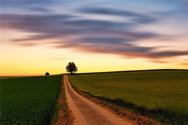 夢見泥路_周公解夢