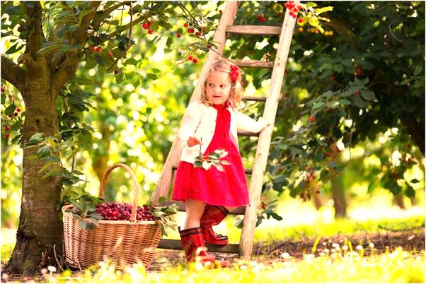 夢到吹風下雨是什麼徵兆_周公解夢官網