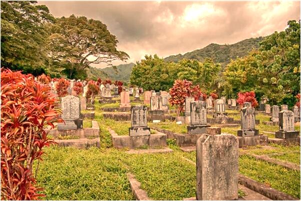 夢見朋友又勸回心轉意是怎么回事_周公解夢官網