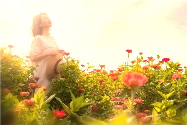 夢見穿黃色肥褲子是凶兆還是吉兆_周公解夢官網