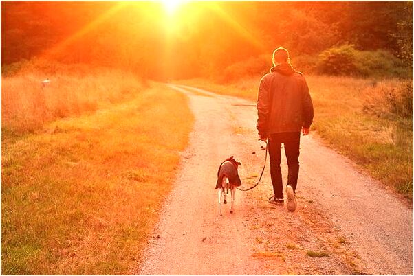 夢見賣冷盤生意啥意思_周公解夢官網