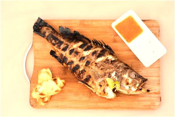 夢到了拾到手機是什麼徵兆_周公解夢官網