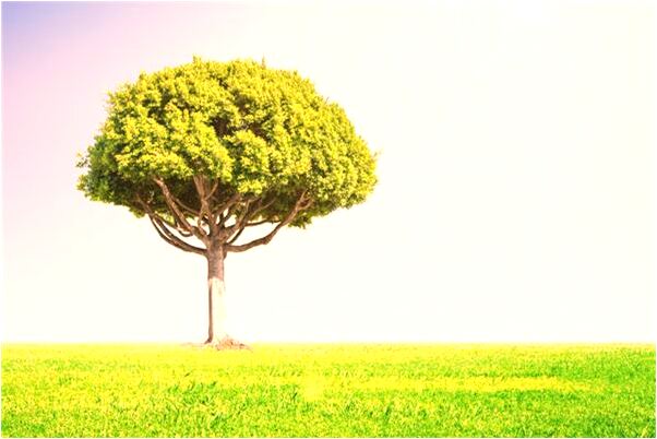 夢到汽車樓上是吉兆嗎?_周公解夢官網