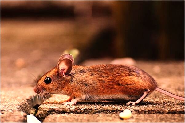 夢到了和三個男人做愛怎么樣_周公解夢官網