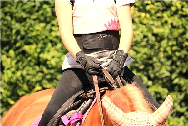 夢到了鳳凰在飛龍時有時無是怎么回事_周公解夢官網