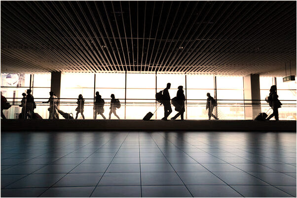 夢到康萬忠是不是好的徵兆呢_周公解夢官網