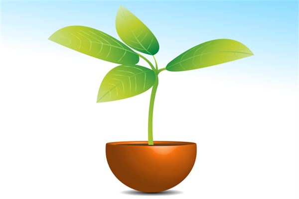 夢見綠色植物_周公解夢