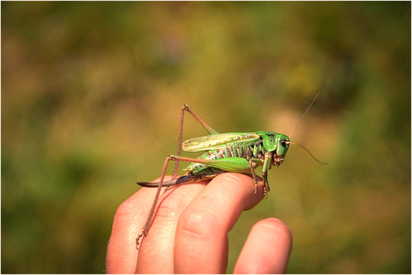 夢到領導和我曖昧有何寓意_周公解夢官網