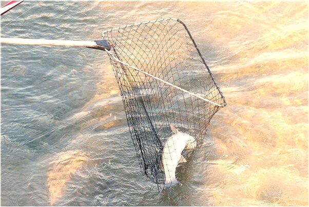 夢到了男人要親女人哪裡最舒服意味著什麼_周公解夢官網