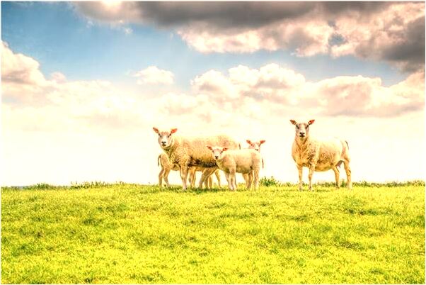 夢見前男友要複合是啥意思_周公解夢官網