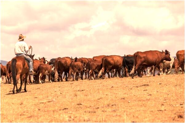 夢到了兒子拿著舊手機是啥預兆_周公解夢官網