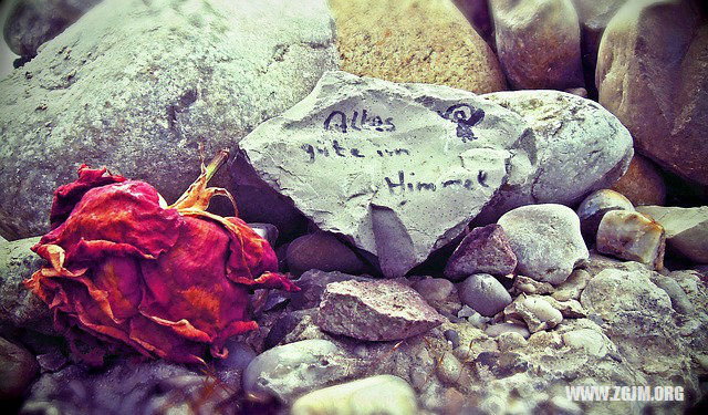 夢見鴨子死了_周公解夢夢到鴨子死了是什麼意思_做夢夢見鴨子死了好不好_周公解夢官網