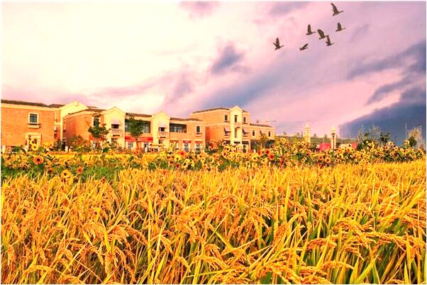 夢見三個人在喝酒有什麼意義嗎_周公解夢官網