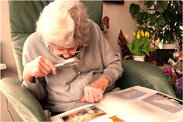 夢到了兩條大蛇交配是咋回事_周公解夢官網