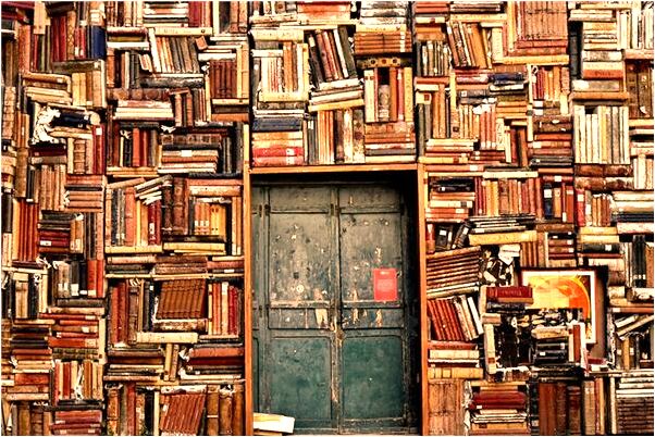 夢到了被五彩的蟲咬是什麼兆頭_周公解夢官網