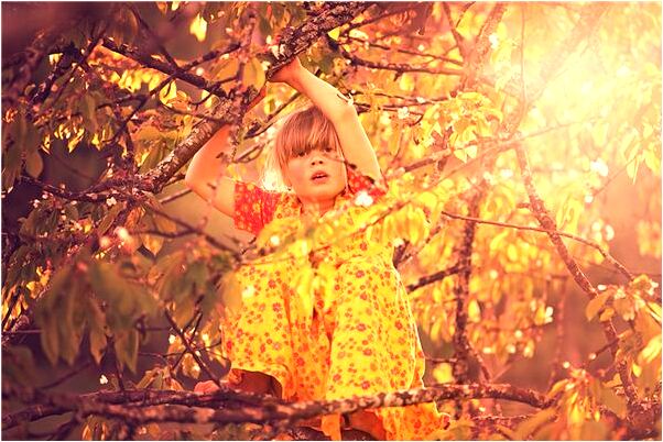 夢見很多陌生人搬屍體去掩埋是什麼預兆?_周公解夢官網