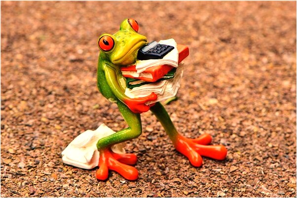 夢到掰蓮蓬吃怎么樣_周公解夢官網