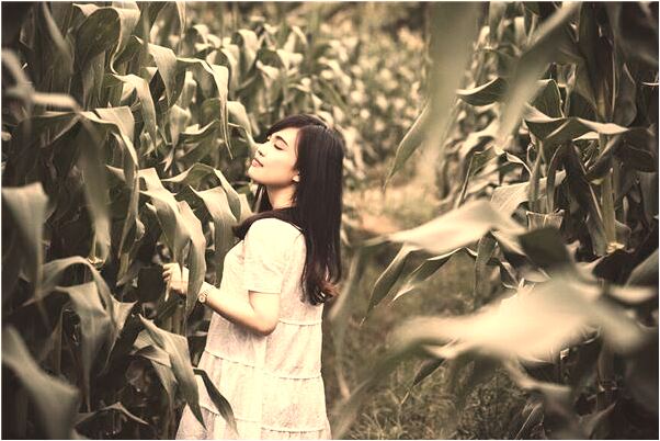 夢見前有兩個老婆有什麼含義_周公解夢官網