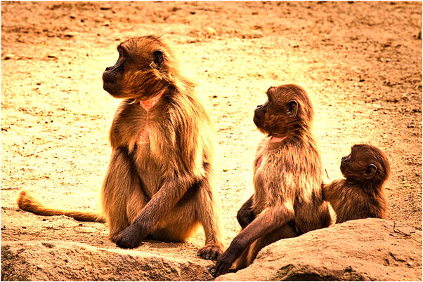 夢見親人穿上官服是凶兆還是吉兆_周公解夢官網