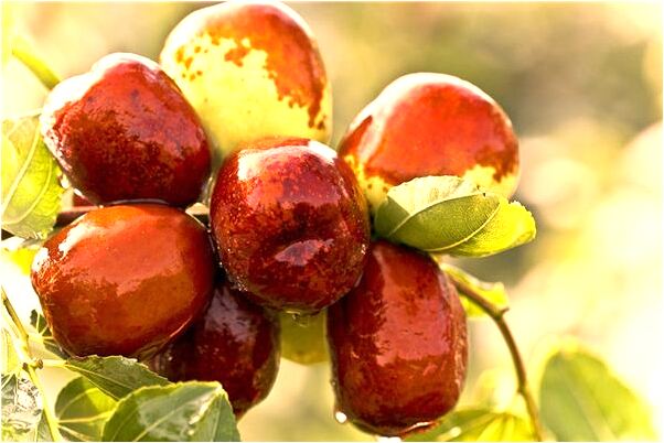 夢到名師誇獎孩子是咋回事_周公解夢官網