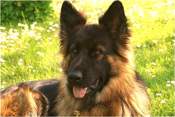 夢到了頭髮被發半夜被嚇醒是好是壞_周公解夢官網