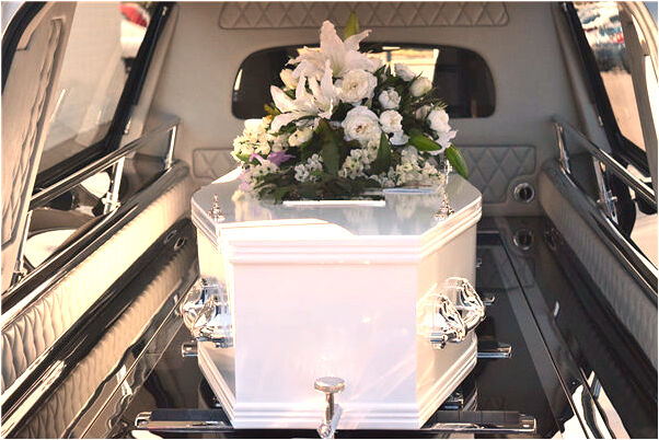 夢到了很多動物攻擊我我頑強反抗有什麼含義_周公解夢官網