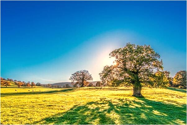 夢見別人的考試通過了是怎么回事_周公解夢官網