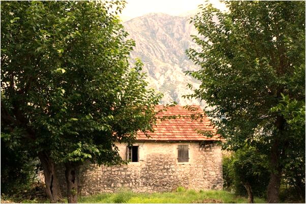 夢見吃蒸餃是啥意思_周公解夢官網