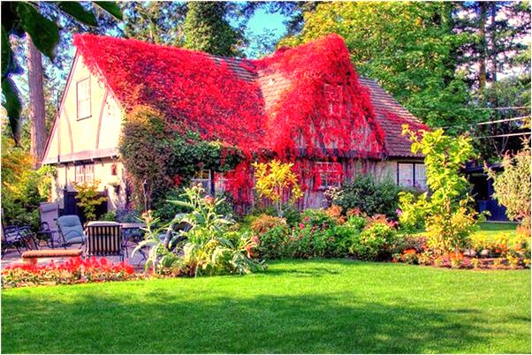 夢見好朋友手指頭都沒了是什麼意思_周公解夢官網