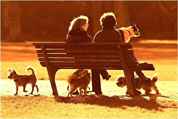 夢到了熟人喊我的名字是什麼徵兆_周公解夢官網