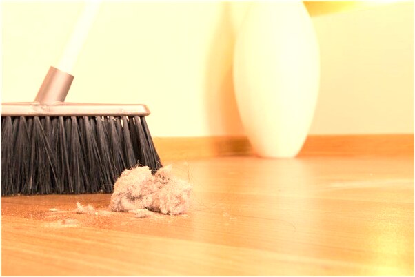 夢到了老鼠咬耳朵不放預示著什麼_周公解夢官網