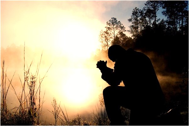 夢到青蛇變紅蛇追我是咋回事_周公解夢官網