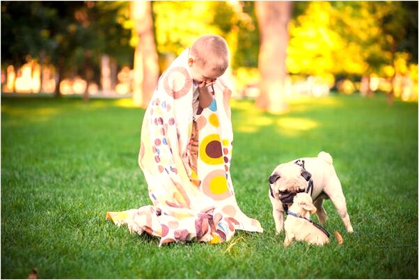 夢見愛因斯坦木偶跳土蜂舞是什麼徵兆_周公解夢官網