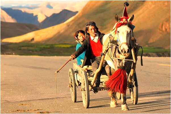 夢見在自來水管下用涼水洗頭有什麼徵兆_周公解夢官網